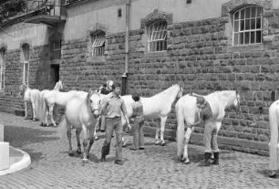 30 Jahre Reitinstitut von Neindorff