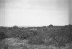 Landschaft : Blick über eine Landschaft bei Dodoma.