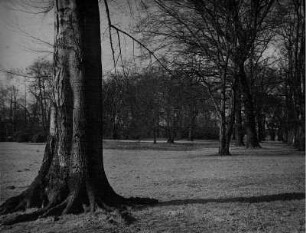 Berlin-Charlottenburg. Schlosspark. Frühlingserwachen