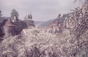 Sächsische Schweiz? Burg