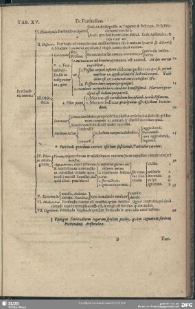 Tab. XV. De Fortitudine