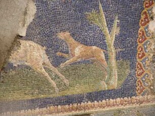 Detail Mosaikbild in einer ausgegrabenen römischen Villa