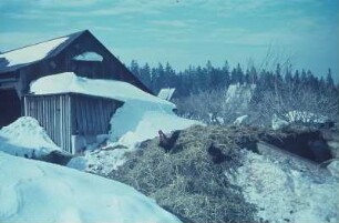 Erzgebirge. Verschneiter Bauernhof