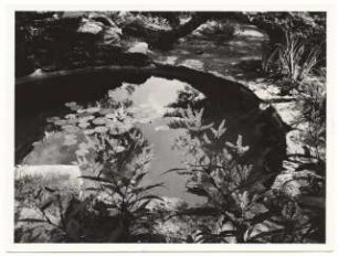 Garten Stuiber Böhmerwald: Teich