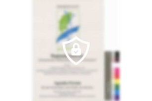 Regionalkonferenz