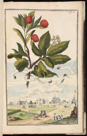 p. 240 St. Iohannes Kirchhoff. - Johannisfriedhof, Nürnberg