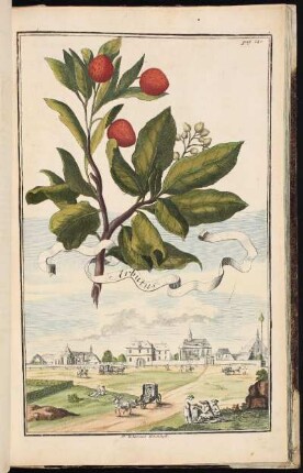 p. 240 St. Iohannes Kirchhoff. - Johannisfriedhof, Nürnberg