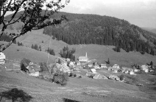 Muggenbrunn: Blick auf Muggenbrunn