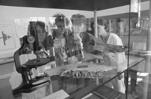Markgrafen-Gymnasium Durlach. Ausstellung zum 400jährigen Jubiläum in der Karlsburg