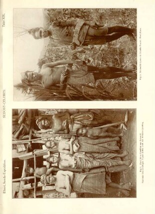 Tafel XIX. Südost-Celebes. Fig. 1. Zwei Muna-Familien aus Labunti. ... Fig. 2. Wasindôli-Leute in Arbeits-Tracht, West-Muna