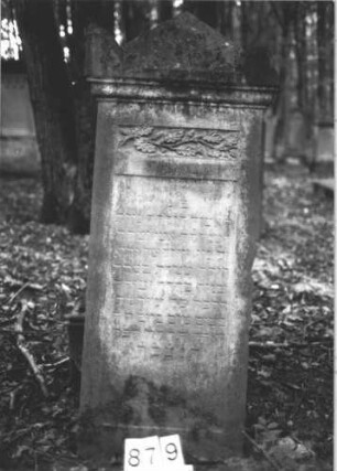 Grabstein 879 (Index: 99899329) Material: Sandstein Zustand: angewittert, Stele vom Sockel gestürzt, steht vor diesem Maße HxBxT: 182x60x27 cm Beschreibung: aufgesockelte Stele mit Giebelabschluss, Eckakroterien, oberhalb der Inschrift breitrechteckies Feld mit Eichenzweig, Stele vom Sockel gestürzt, steht vor diesem Symbolik: Eichenzweig: Grabstein 879