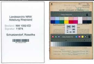 Entnazifizierung Roswitha Schuetzendorf, geb. 25.11.1922 (Lehrerin)