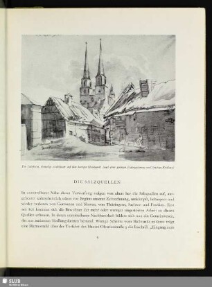 Die Salzquellen