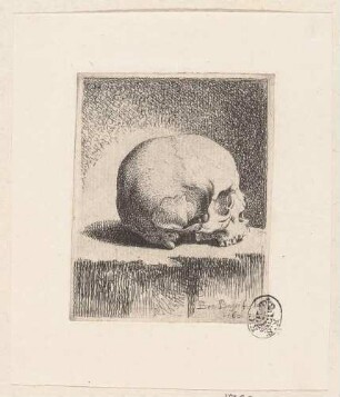 Totenkopf im Profil nach rechts
