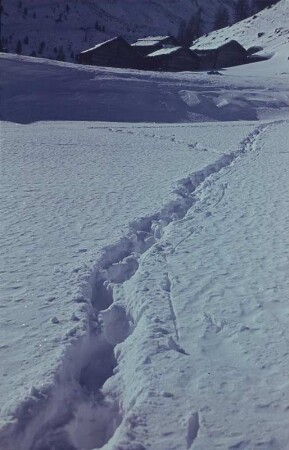 Mittenwald/Karwendel. Spuren im Schnee