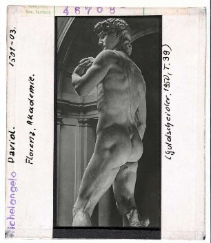 Michelangelo: David. Florenz, Akademie