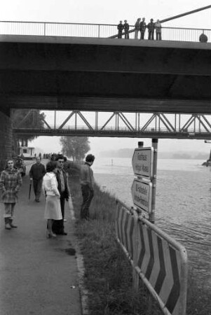 Hochwasser von Rhein und Alb
