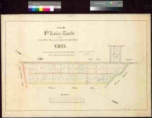 II. Rein-Karte von dem Societätsweideplan auf der Bärhorst der Stadtfeldmark Nauen. Sekt. VIII