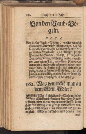 Von den Raub-Vögeln