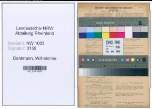 Entnazifizierung Wilhelmine Dahlmann , geb. 11.06.1901 (Kaufmann)