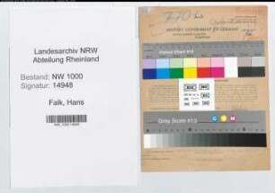 Entnazifizierung Hans Falk, geb. 10.02.1909 ()