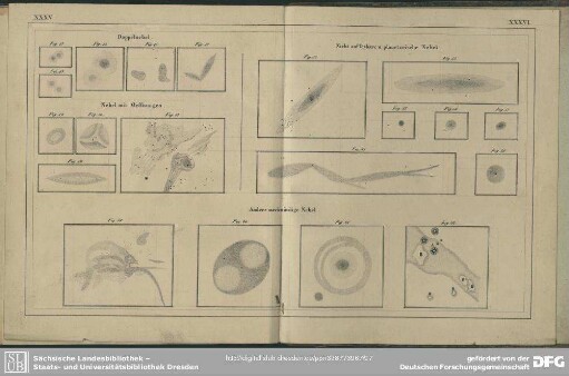 Tafel XXXV. und XXXVI. Nebel. Fig. 43-47. Doppelnebel; Fig. 48-51. Nebel mit Oeffnungen; Fig. 52-58. Nicht auflösbare und planetarische Nebel; Fig. 59-62. Andere merkwürdige Nebel