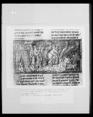 Ms 11040, Alexander-Roman, fol. 59: Der gefangene Riese