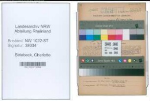 Entnazifizierung Charlotte Striebeck , geb. 30.09.1900 (Apothekerin)