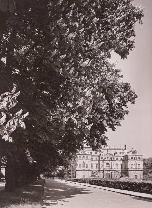 Großer Garten. Blick zum Palais mit Kastanienallee am Palaisteich von Südosten