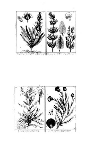 1321-1324