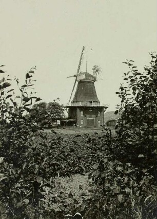 Norderney. Windmühle
