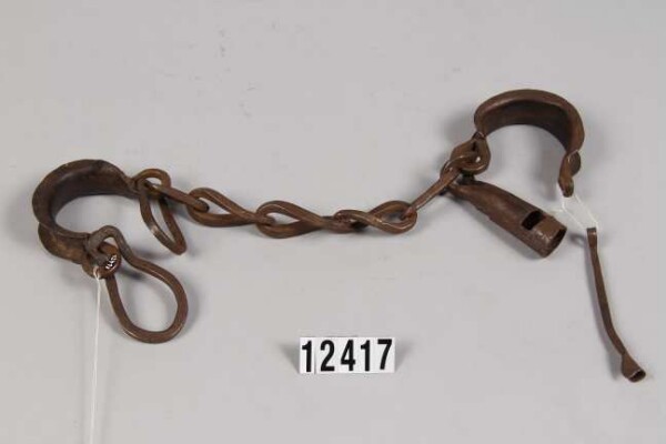 Horse restraint