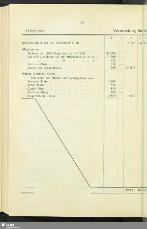 Voranschlag für das Jahr 1911