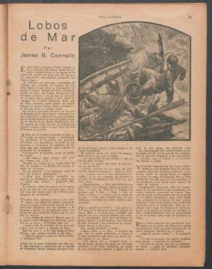 Lobos de mar