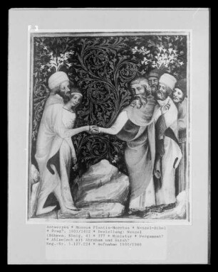 Wenzel-Bibel — ---, Folio 377