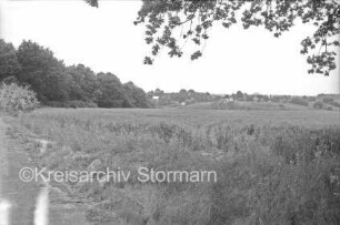 Klein Barnitz: im Vordergrund Waldweg vor Ackerfläche: links Bäume: im Hintergrund Klein Barnitz