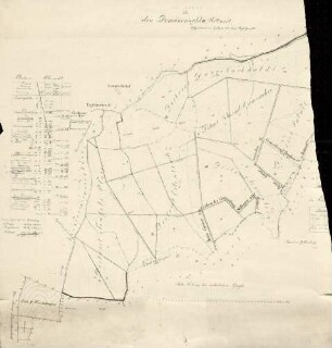 Plan über den Domänenwald III. Rittnert