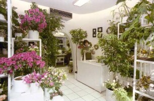 Freiburg: Blumenladen in der Salzstraße, innen