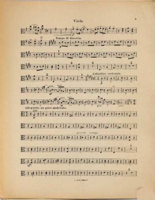 Fantasie aus Der Bajazzo - Pagliaccio : von R. Leoncavallo