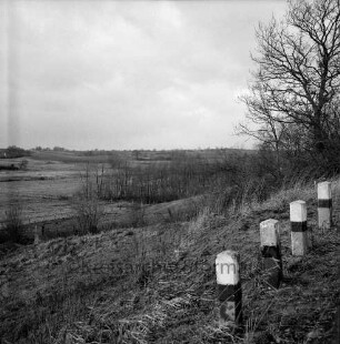 Sühlen: Blick ins Travetal: vorn rechts Begrenzungspfähle: dahinter Sträucher und Baum