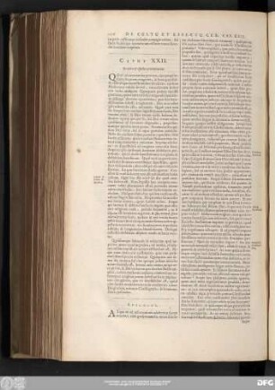 Caput XXII. De cultu & effectus caeremoniarum.
