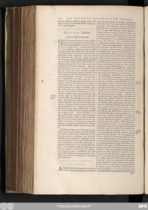 Caput XXII. De cultu & effectus caeremoniarum.