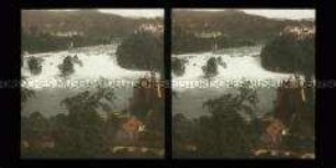 Blick auf den Rheinfall und Schloss Laufen