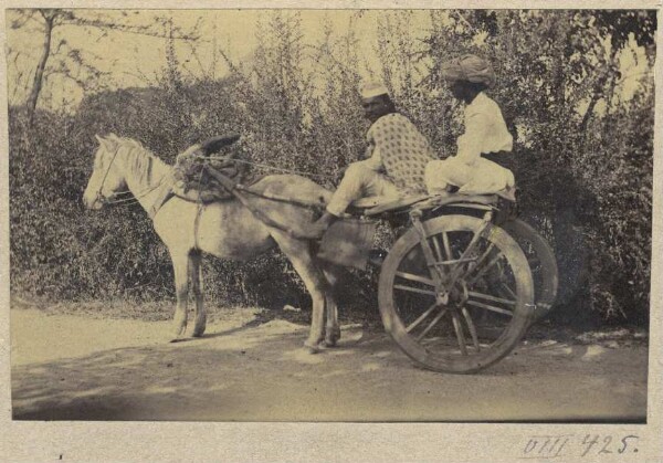 Ox cart