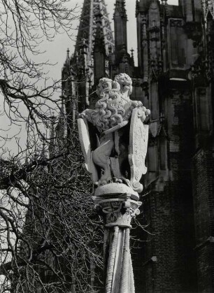 Schildlöwen am Münsterbrunnen in Ulm