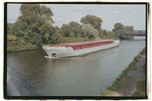 Wilhelmine Steffens (1981), Steffens GmbH, Hamburg