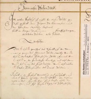 Schriftstück über den Kornwester Pfaffenwald