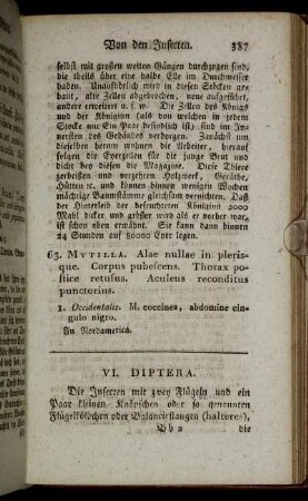 VI. Diptera