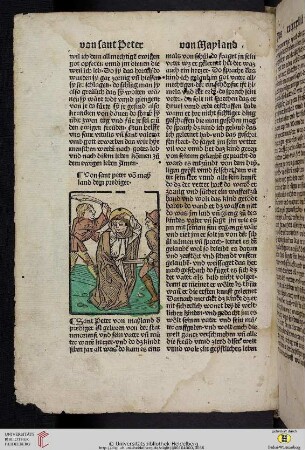 von sant Peter von Mayland