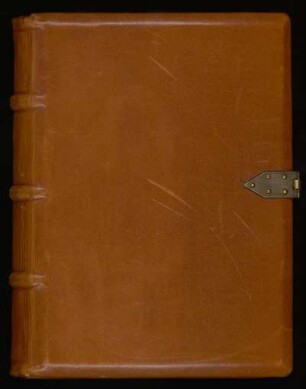 Ps.-Augustinus. Sermones de diversis. Hildegardis Bingensis